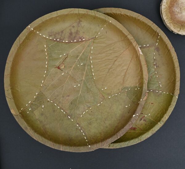 Green Leaf Plates ( 25 pcs)
