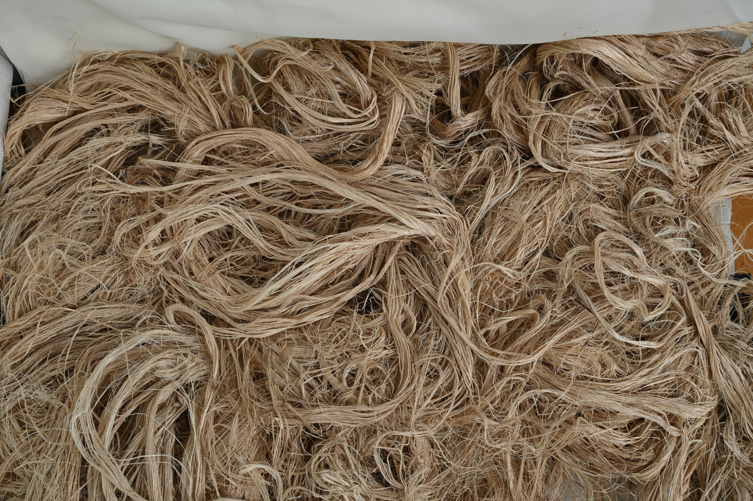 Raw Jute Fibre Switcheko