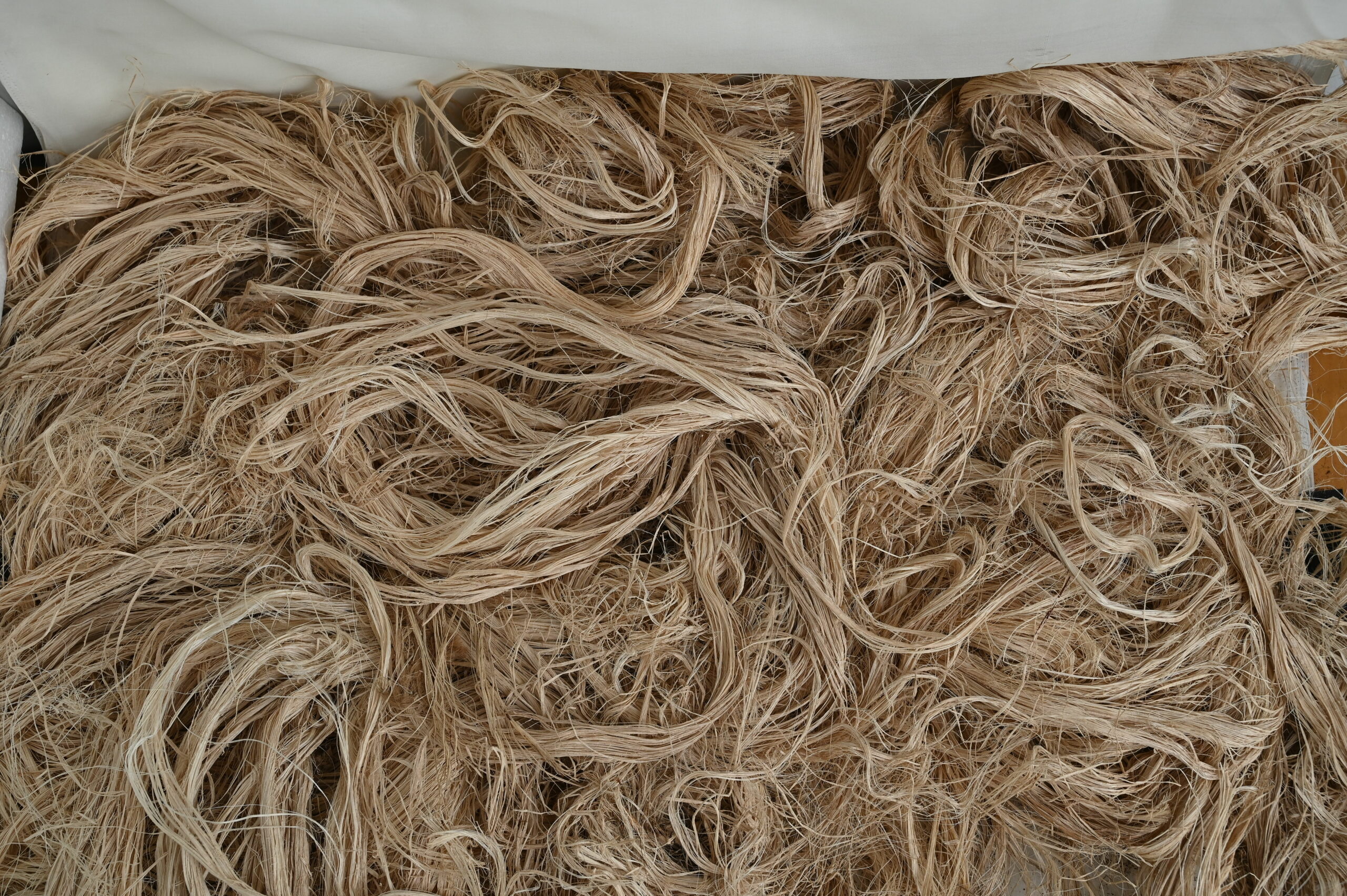 Raw Jute Fibre - Switcheko