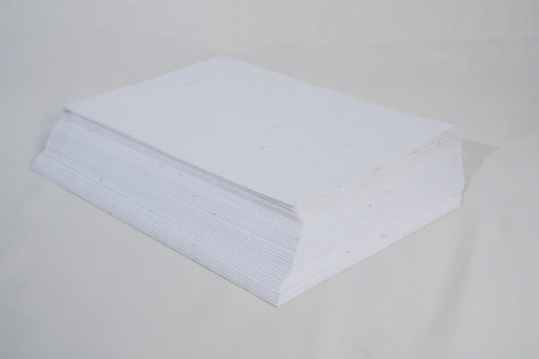Plantable Paper