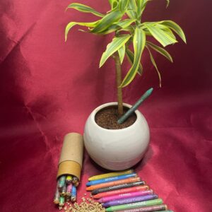 Plantable-Crayon-1